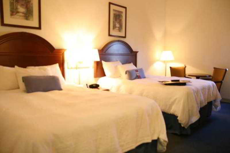 Hampton Inn & Suites Tarpon Springs Room photo